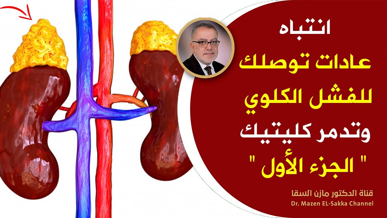 من اليوم قل وداعا للفشل الكلوي ابتعد عن الاطعمة التي تخرب الكلى كن حذرا وابتعدعنها فورا لتنظيف الكلى