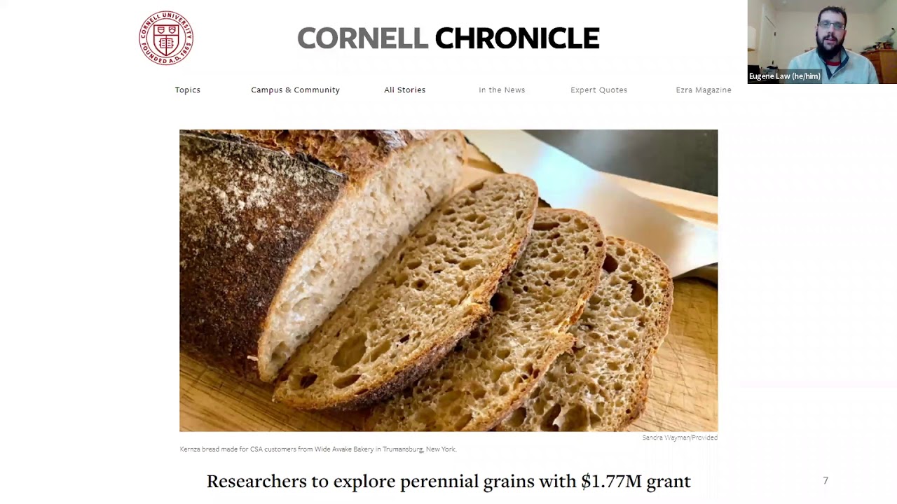 Eugene Law: Developing perennial small grain crop through systems ecology