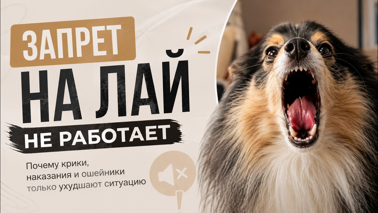 ОТУЧИТЬ СОБАКУ лаять на собак и прохожих, запрет на лай, нельзя гавкать