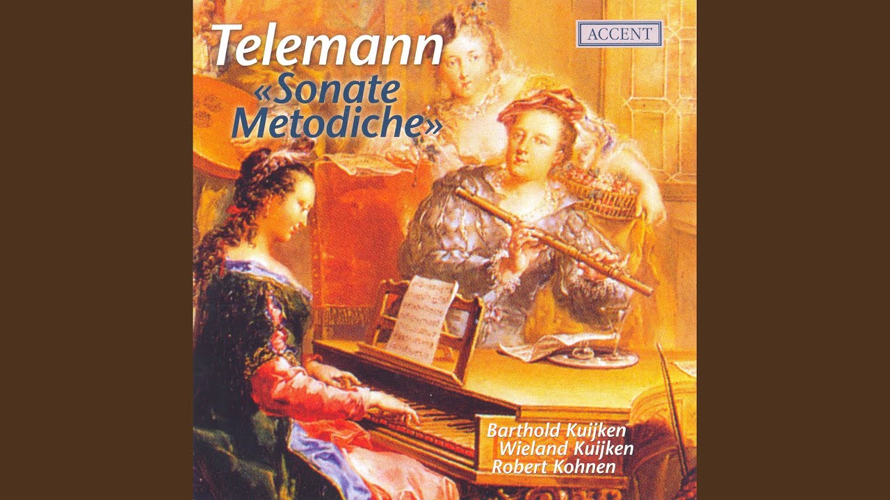 6 Sonate metodiche: Sonata No. 5 in A Minor, TWV 41:a2: I. Largo
