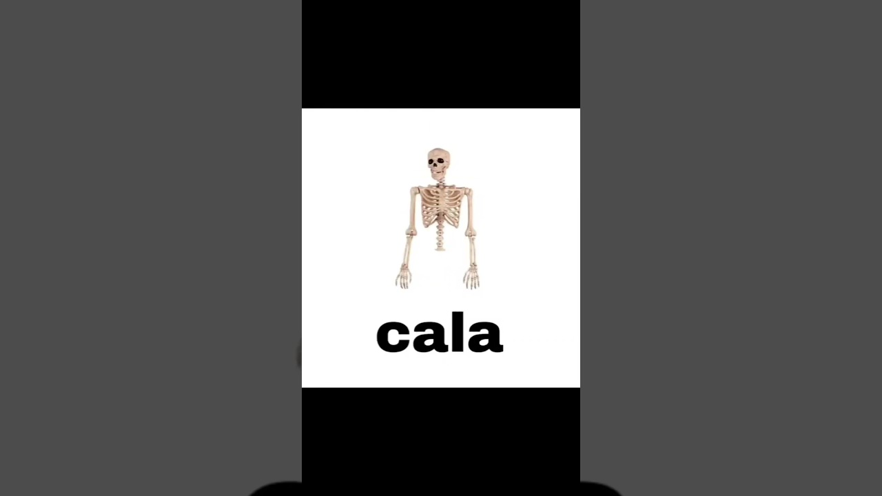 CALACA #doblaje #humor