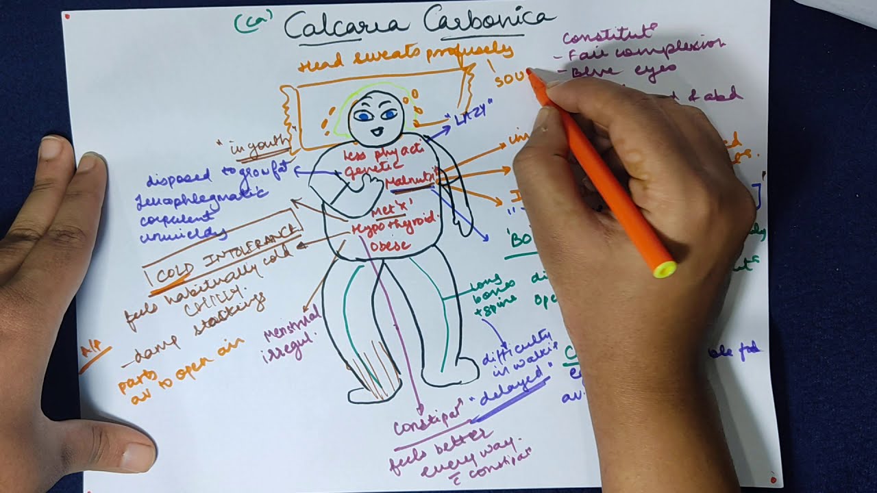 Calcarea Carb 30, 200 // Гомеопатическая медицина // Схема лекарственного средства // Общие сведе...