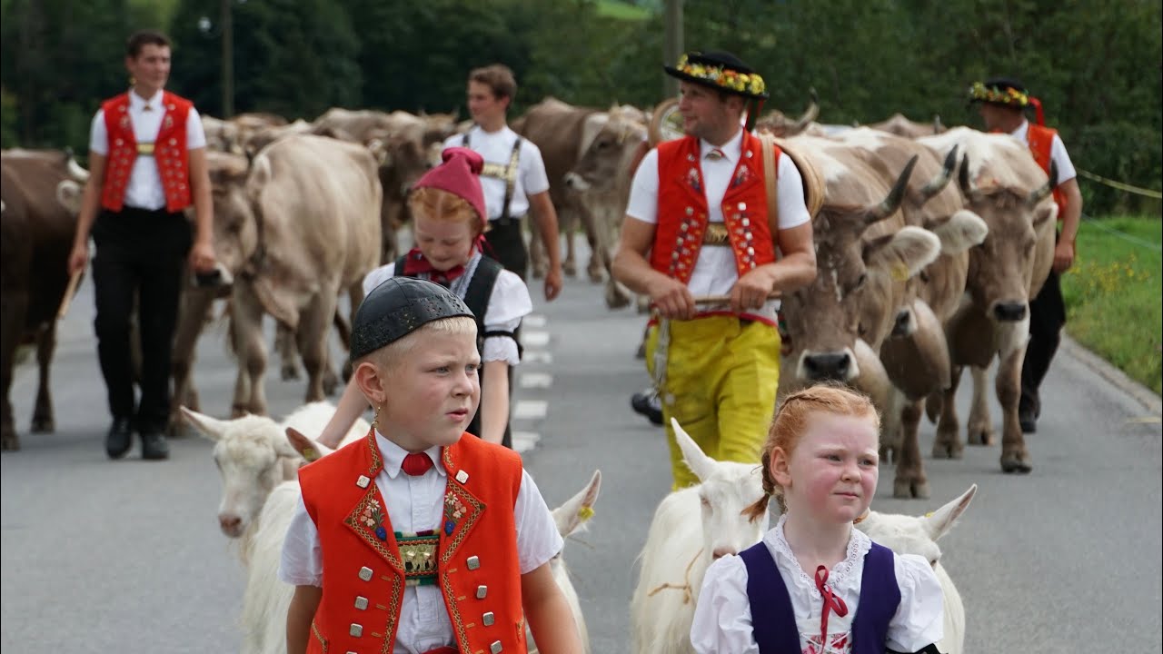 Öberefahre Oberer Mesmer 2022