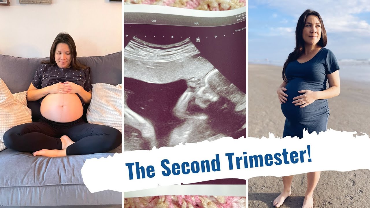 My Pregnancy Journey (The Second Trimester) | Lauren In Real Life