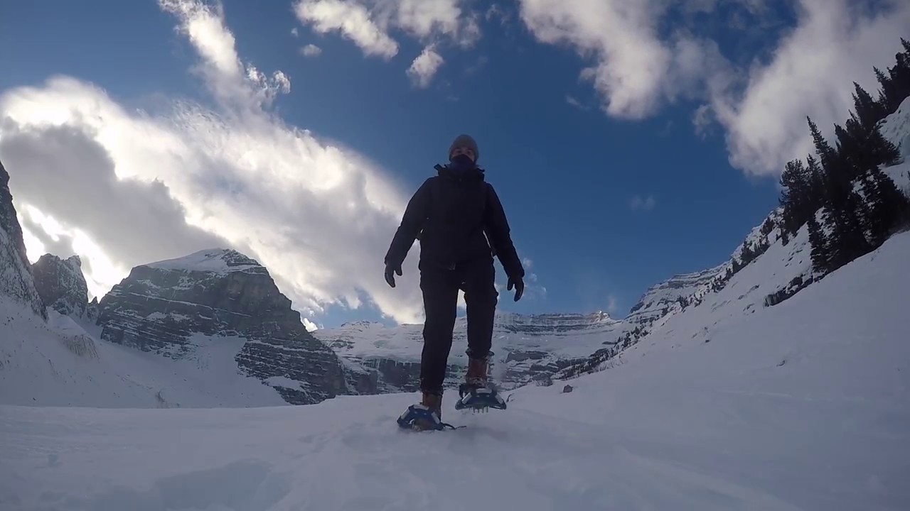 Alberta 2017
