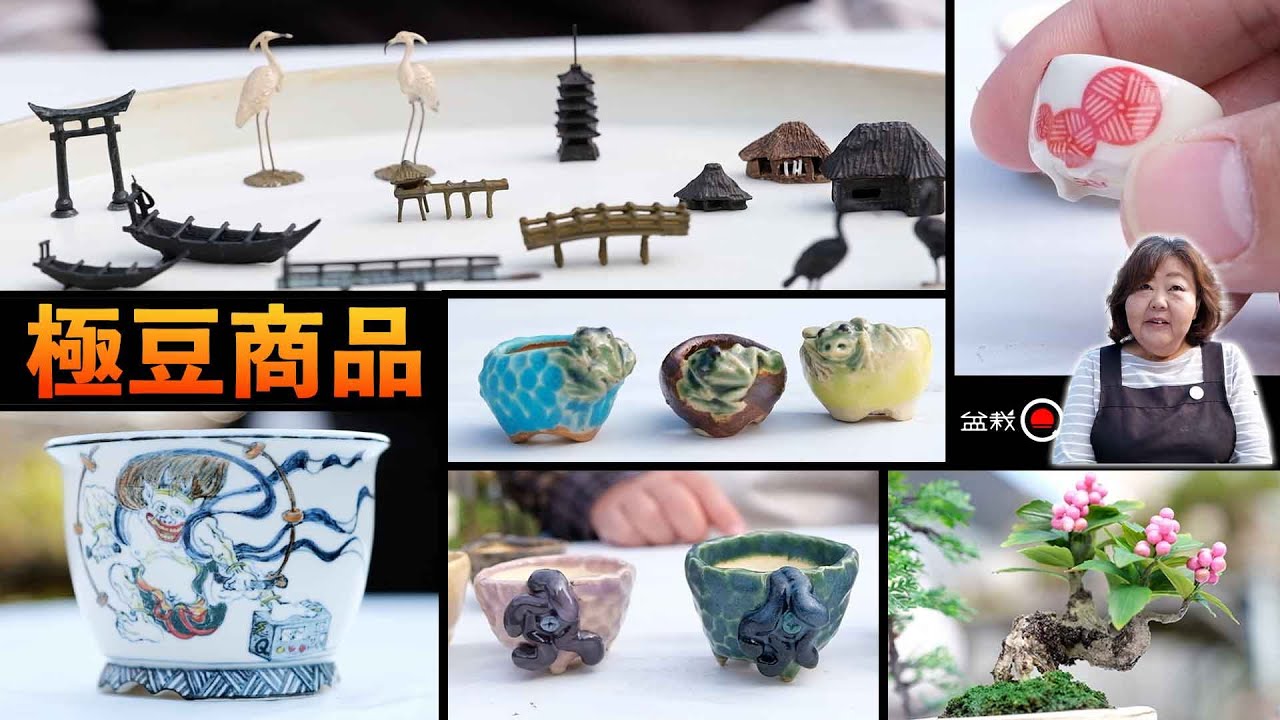 お宝多数⁉豆鉢、添配、水石などフェス商品を一挙公開【盆栽Q】