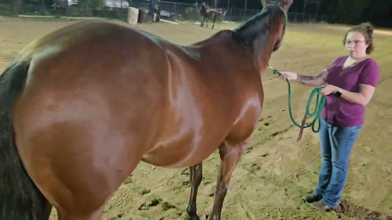 Chelsea M & peppys chili pepper showmanship
