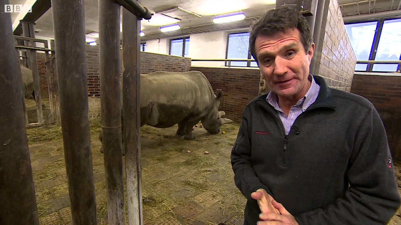 Дунёдаги охирги беш каркидон йўқ бўлиш арафасида