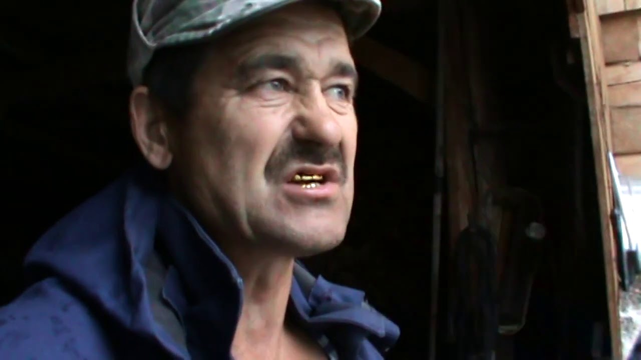 Покос сорвался   Завожу дрова на т 16 мг