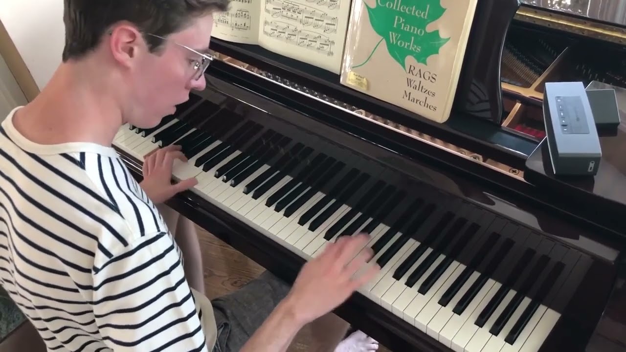 Reptilia - The Strokes (Piano Cover)