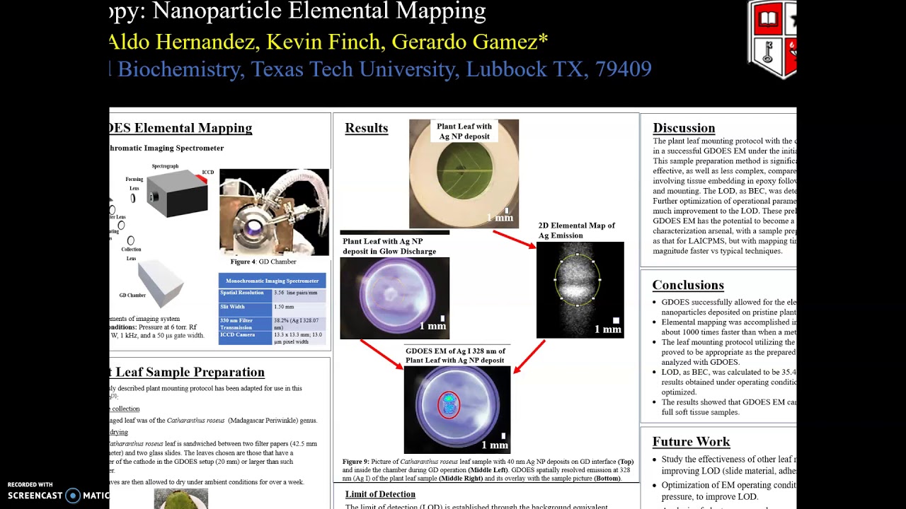 Nanoparticle Elemental Mapping of Pristine Plant Tissue through GDOES