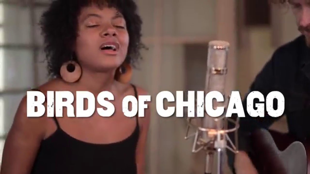 Folk Alley Sessions: Birds of Chicago - "Good Dream"