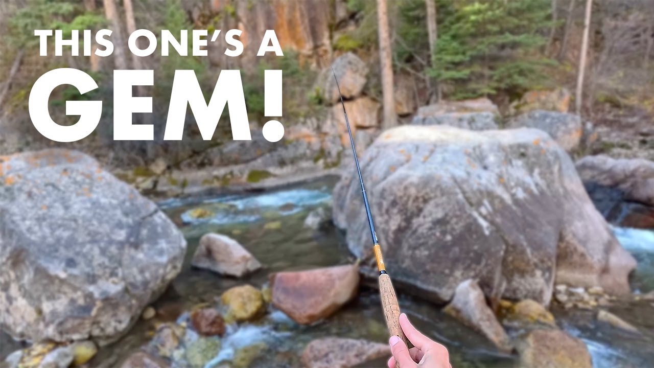 Amazing Roadside Creek Fishing in the Mountains! (Tenkara Fly Fishing)