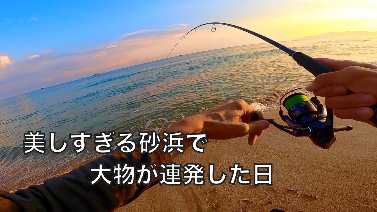 サーフの釣りはこれだからやめられない！浅いサーフでミノーを投げたら・・・【車中泊釣り旅第一弾・日本海編六話】