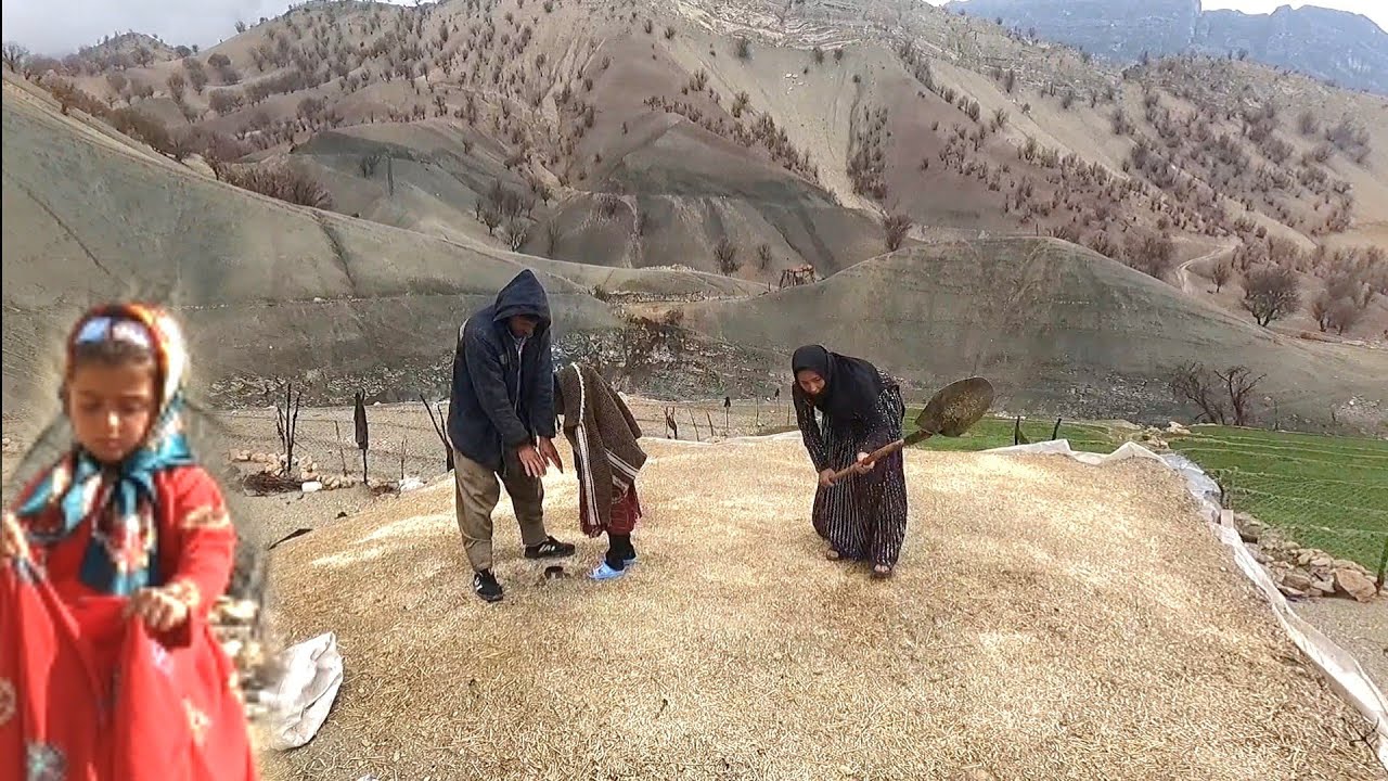 «Кочевая жизнь: история семьи, пекущей сангакский хлеб и живущей под дождем»