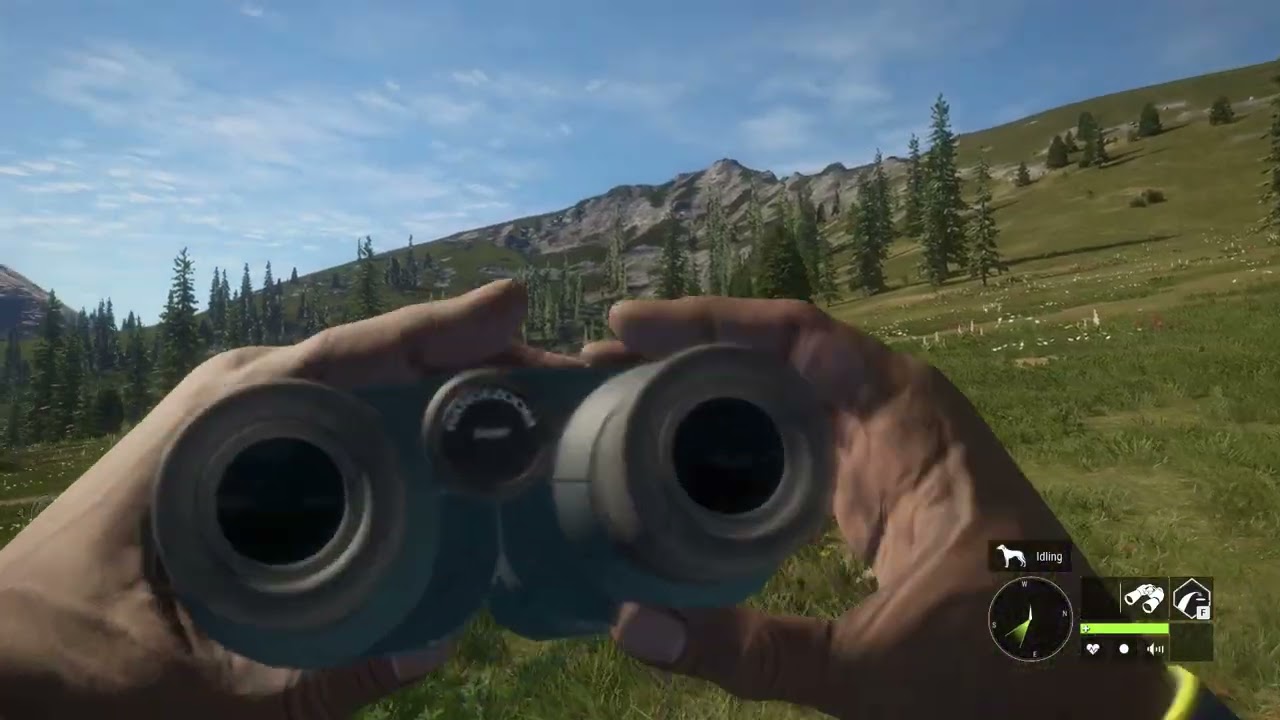 theHunter Call of the Wild - Gameplay 297