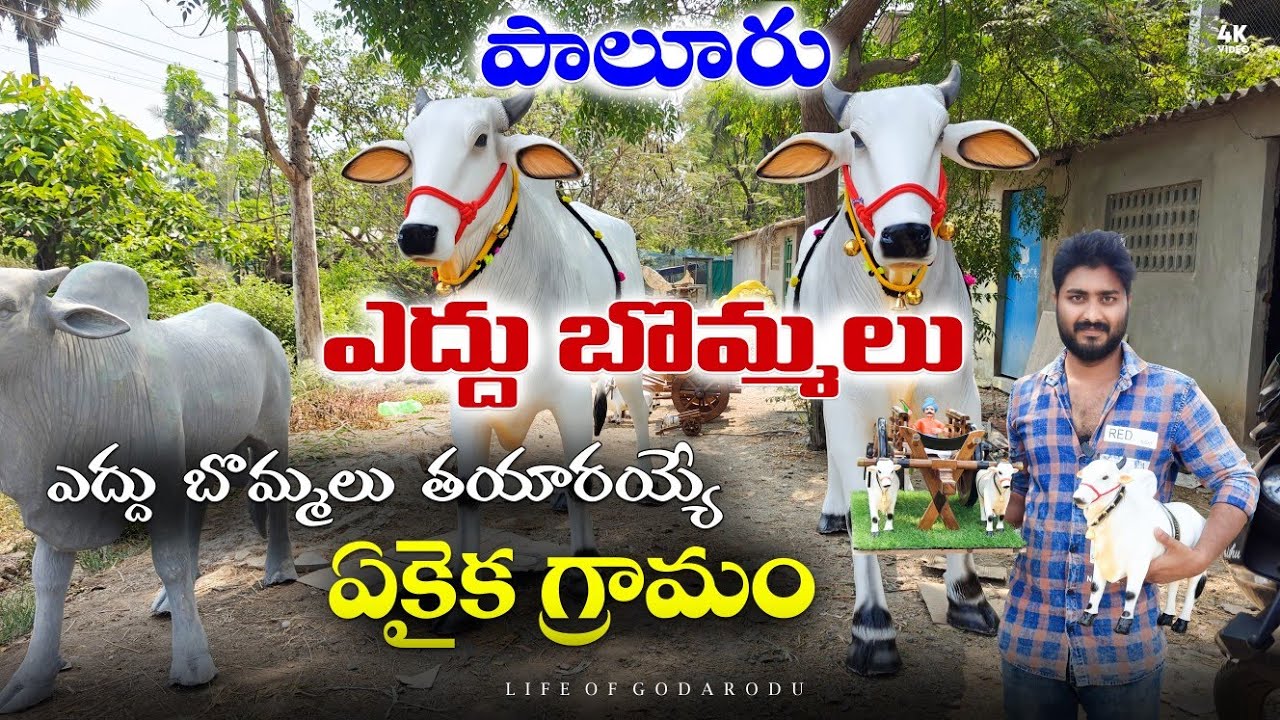 🐄Paluru Bullcarts || Paluru Eddu Bommalu || Paluru Bull Toys #paluru #village #bull #westgodavari