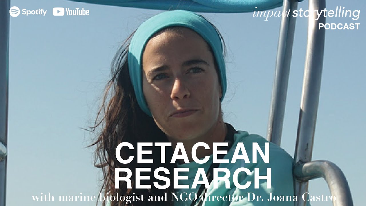 Can Whales Feel Love? An insight into the Lives and Biology of Marine Giants with Dr. Joana Castro