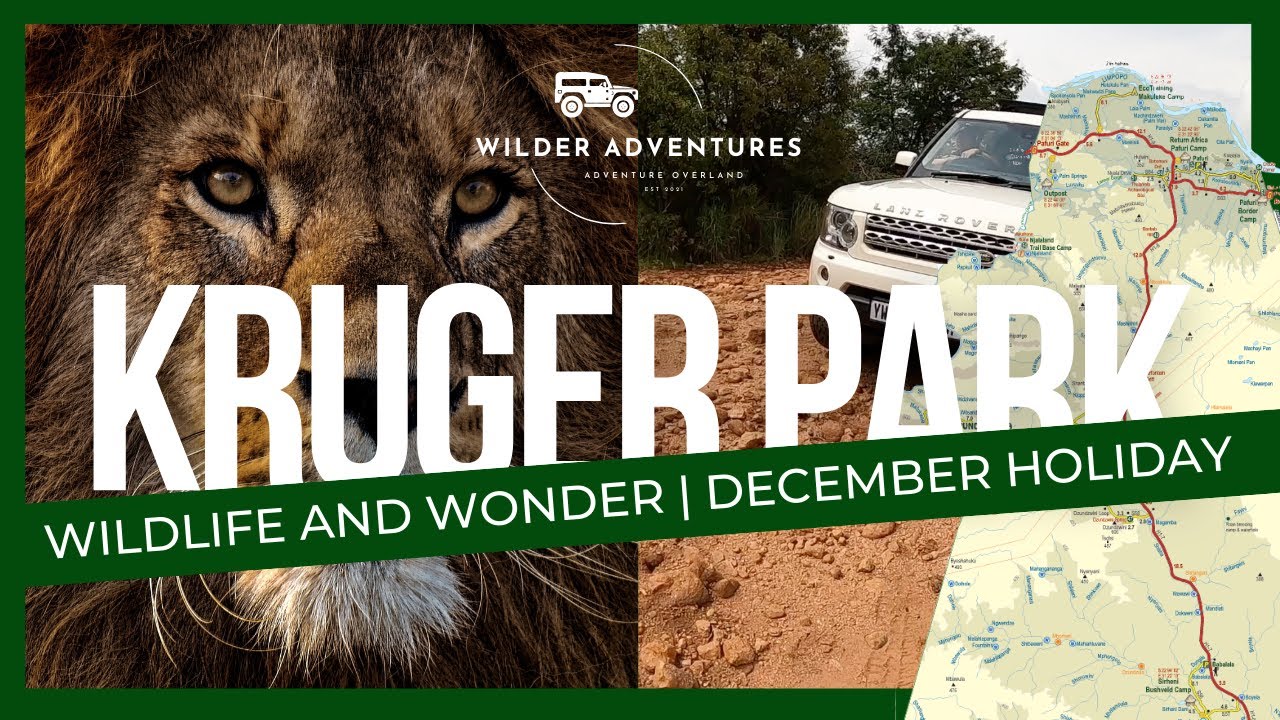 Kruger National Park at Christmas: Wildlife and Wonder