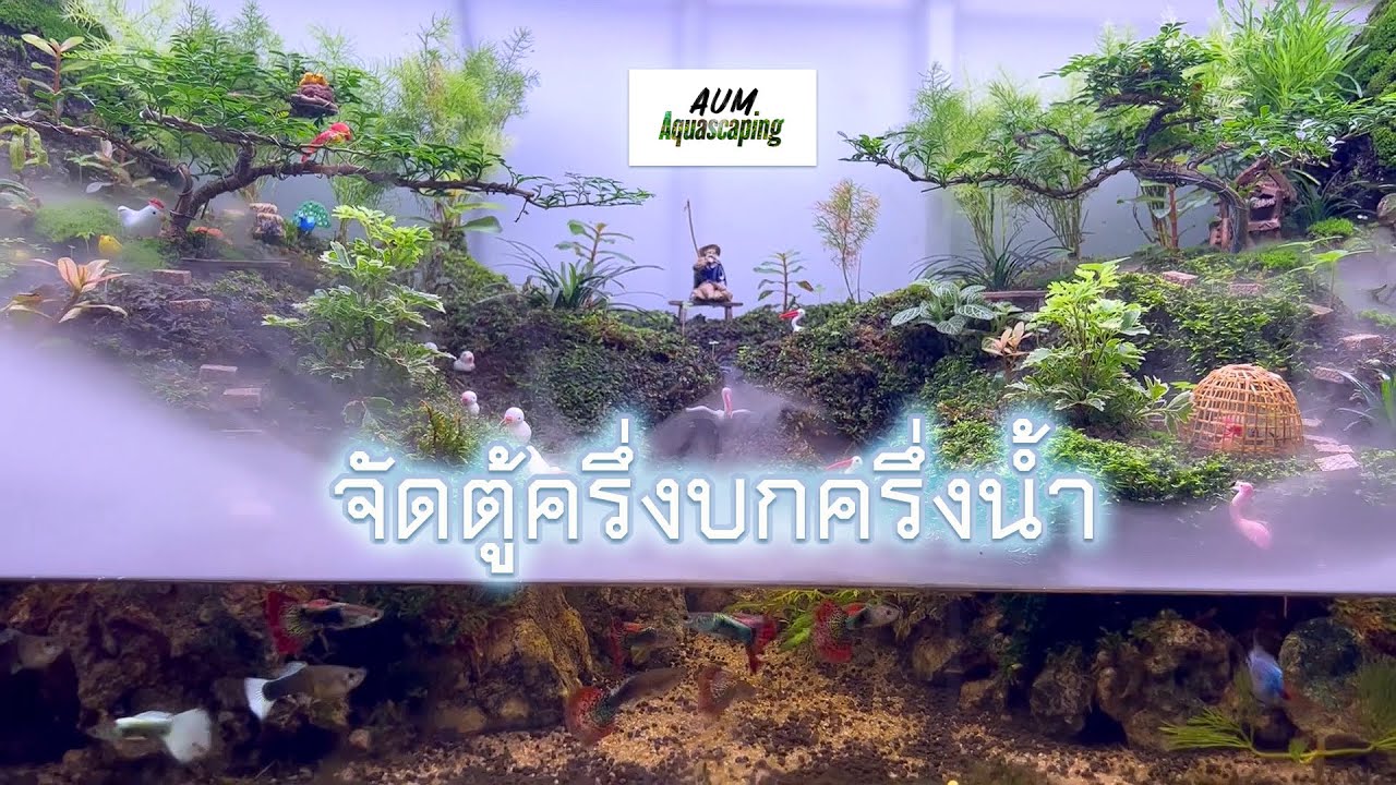 จัดตู้ครึ่งบกครึ่งน้ำในตู้ 48 นิ้ว