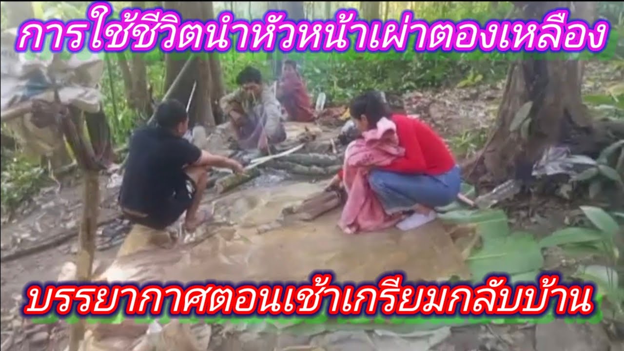 การใช้ชีวิตอยู่ในป่าดงดิบ #ที่บ้านหัวหน้าเผ่าตองเหลือง #ในบรรยากาศตื่นนอนตอนเช้า #เตรียมจักรบ้านแล้ว