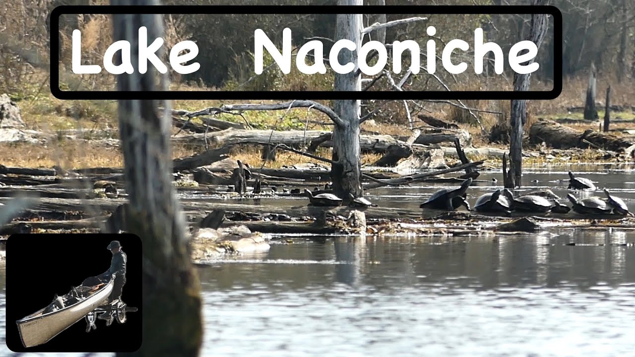 Paddling Lake Naconiche (Day trip in the flooded timber)