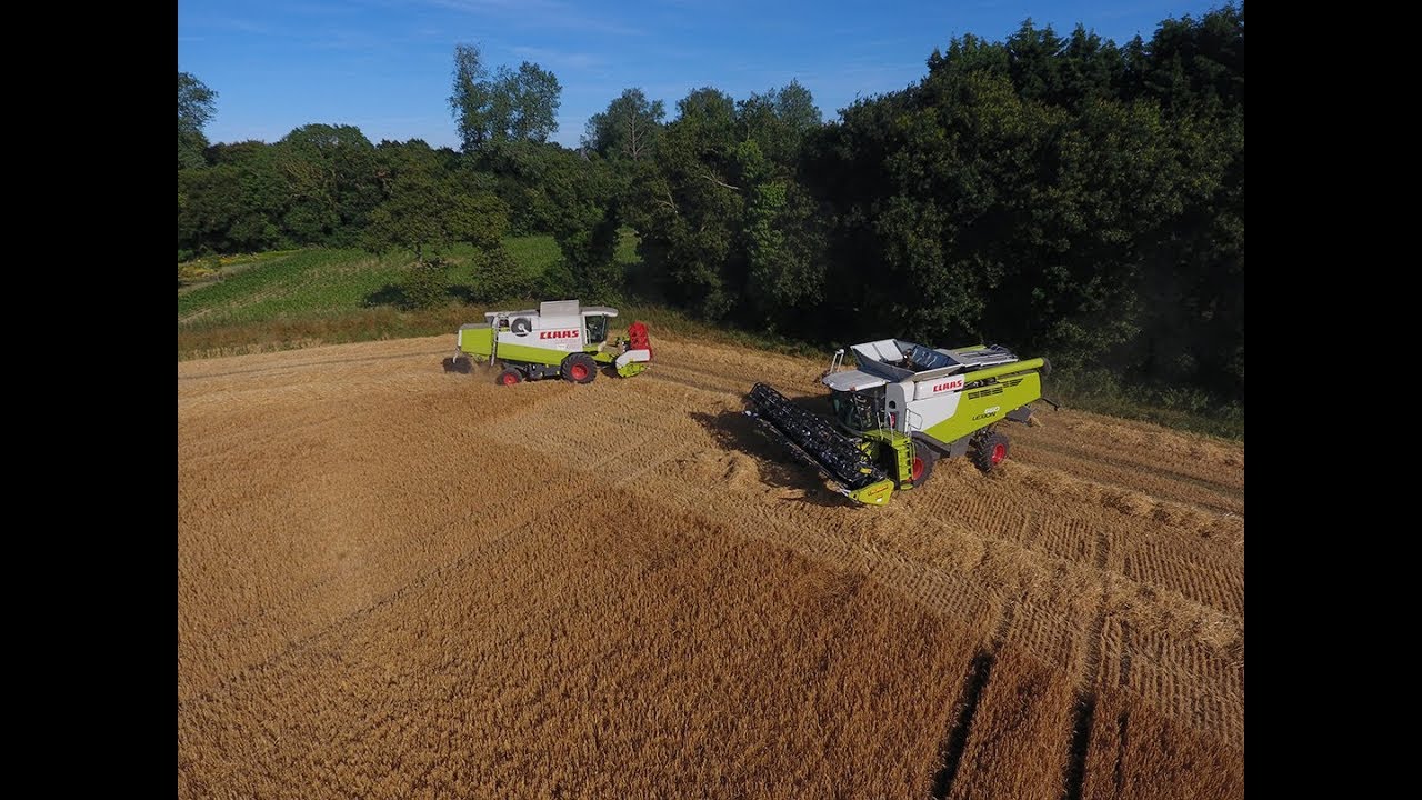 😍 New Lexion 660 et 420 à la moisson | ETA Cozannet