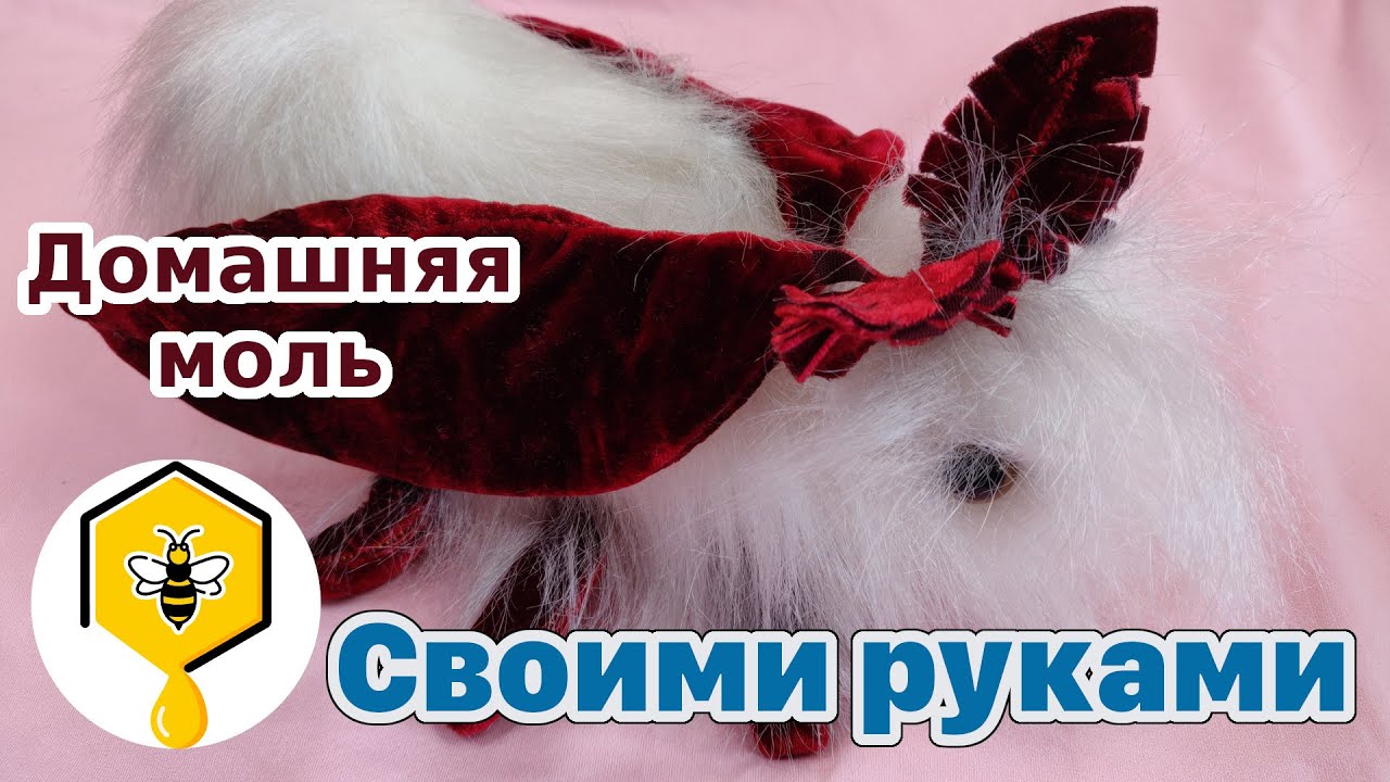 Меховая моль своими руками!