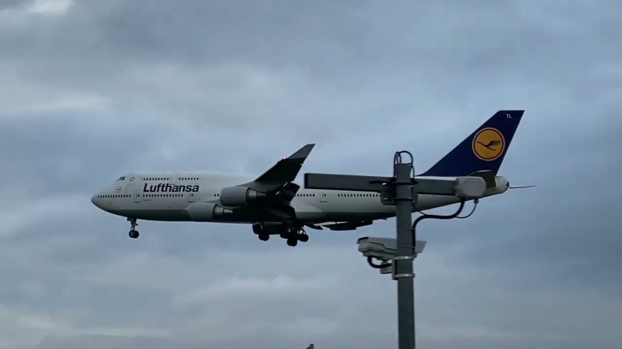 Planespotting at Frankfurt Airport (FRA) | Runways Central & South | morning traffic | B747, A340...