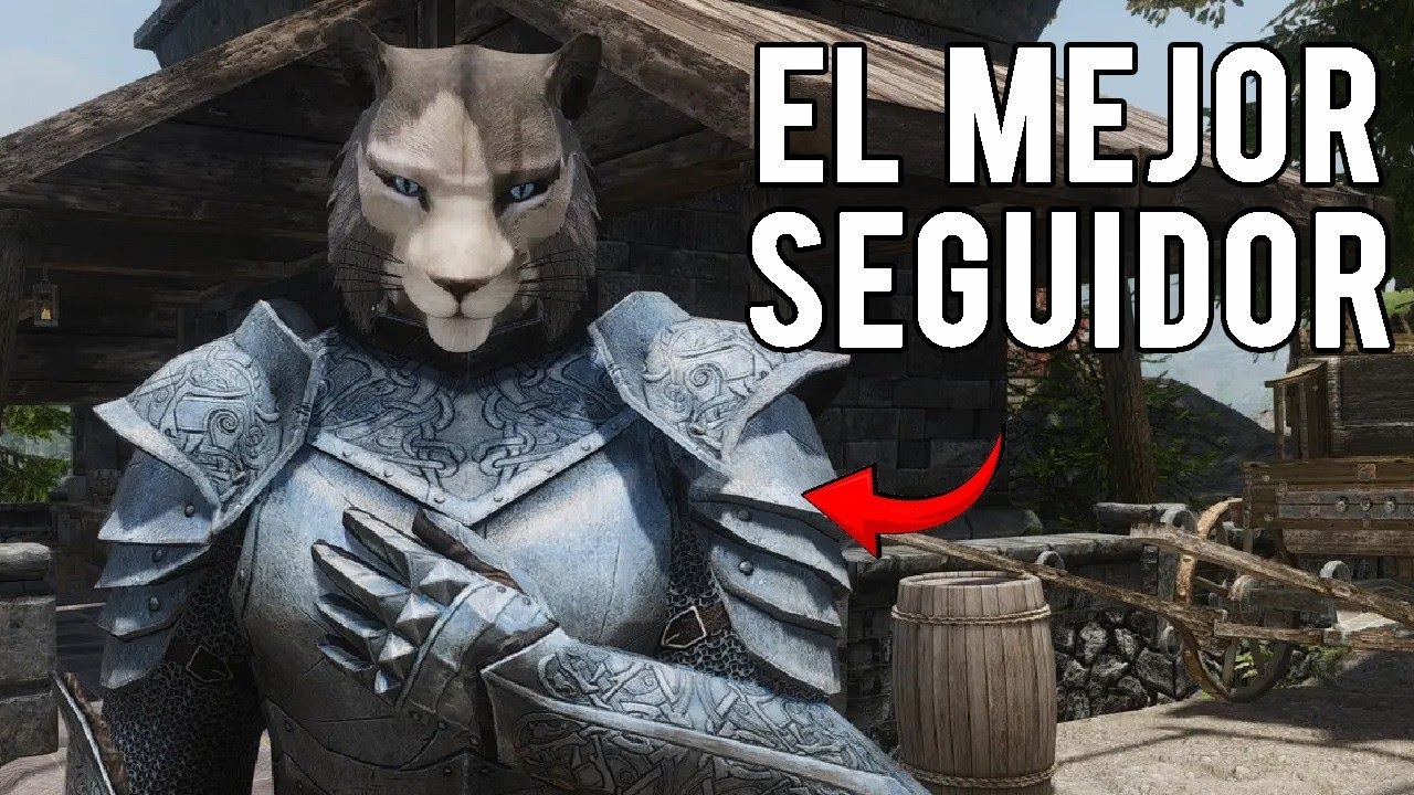 MEJORES SEGUIDORES según tu ROL   The Elder Scrolls V  Skyrim