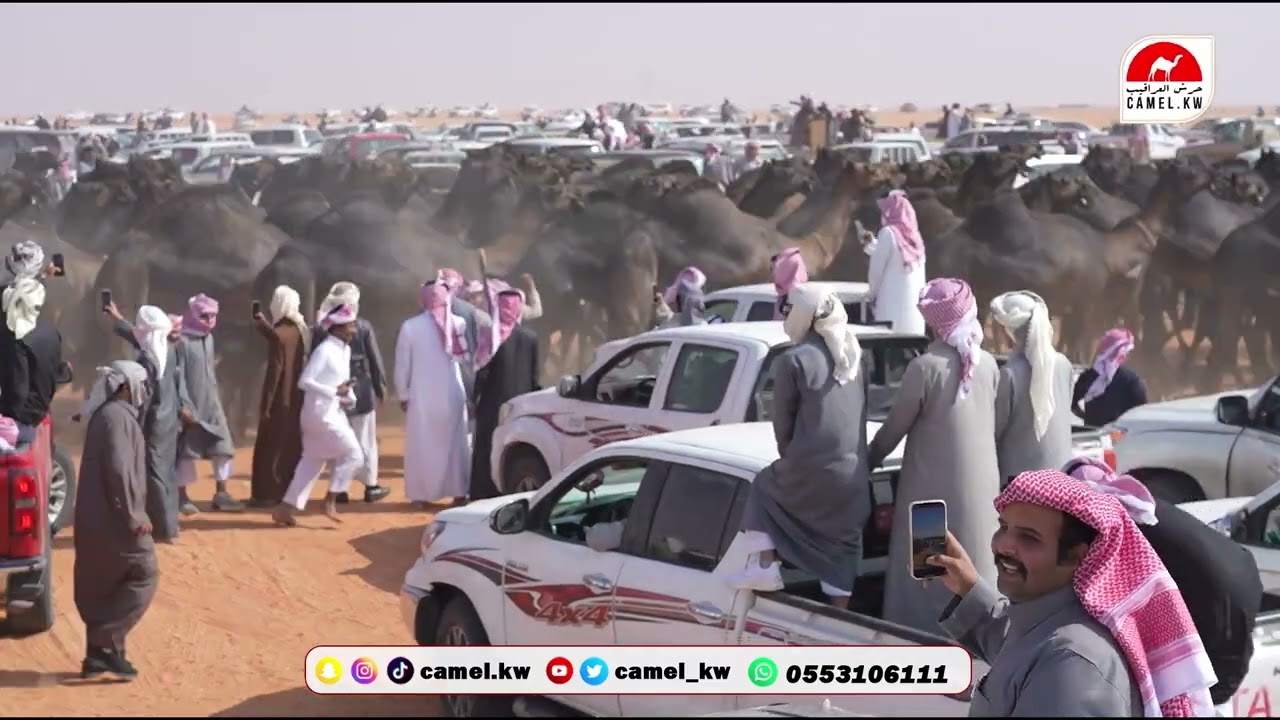 مسيرة براك بن ناصر بن مسعود الحراجين الدوسري في مهرجان الملك عبدالعزيز 10
