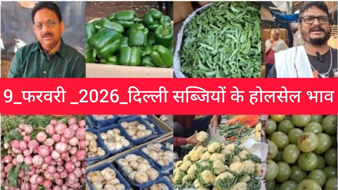 February 9, 2026 दिल्ली सब्जियों के भाव delhi vegetables market delhi fruit market #vegetables