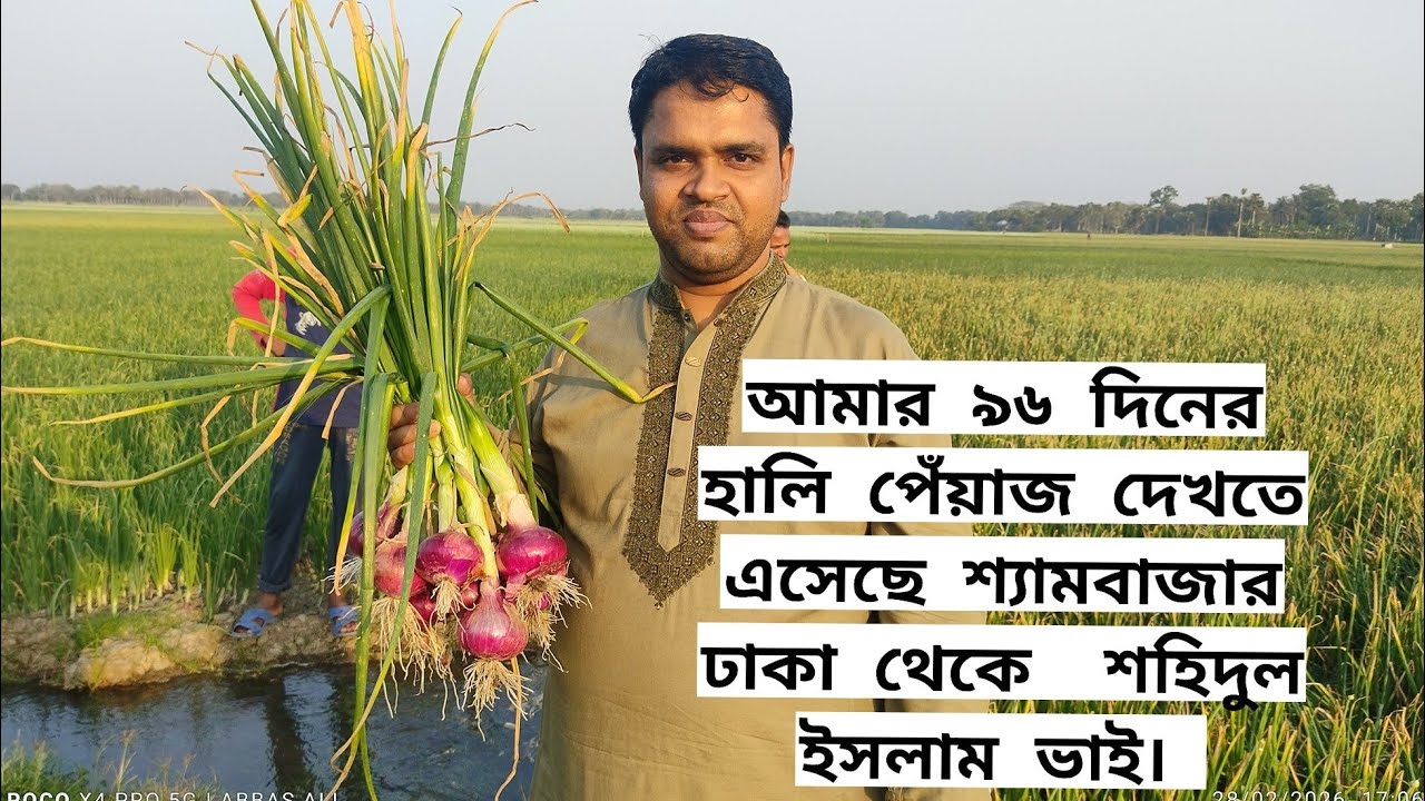 1 March 2026 আমার ৯৬ দিনের হালি পেঁয়াজ দেখতে এসেছে শ্যামবাজার ঢাকা থেকে  শহিদুল ইসলাম ভাই। 