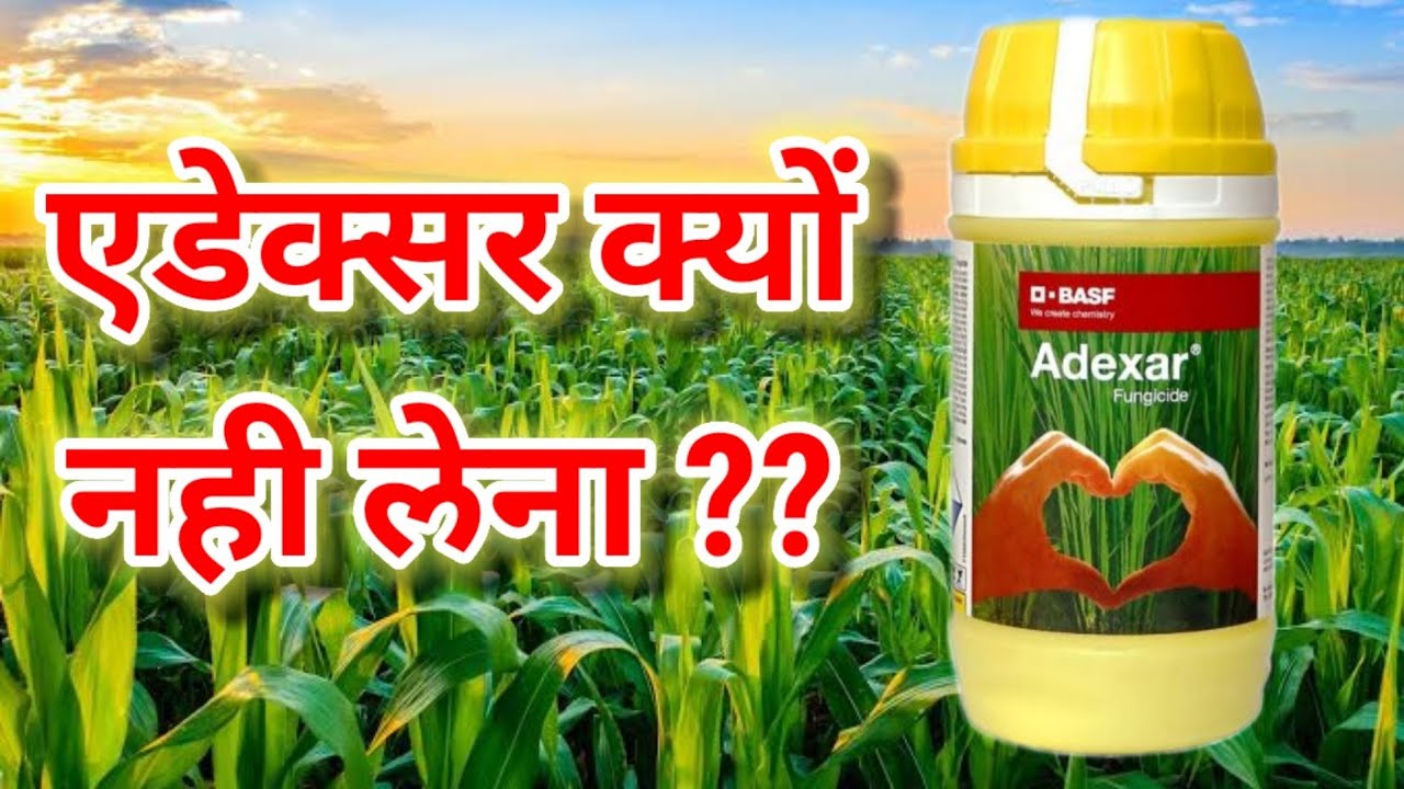 BASF Adexar fungicide // Adexar // fluxapyroxad+Epoxyconazole