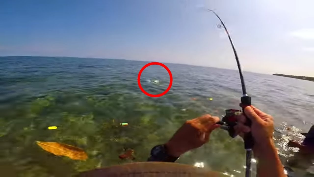 DIMIAO, BOHOL QUICK ULTRALIGHT SHORE CASTING WITH MY WIFE AND KIDS