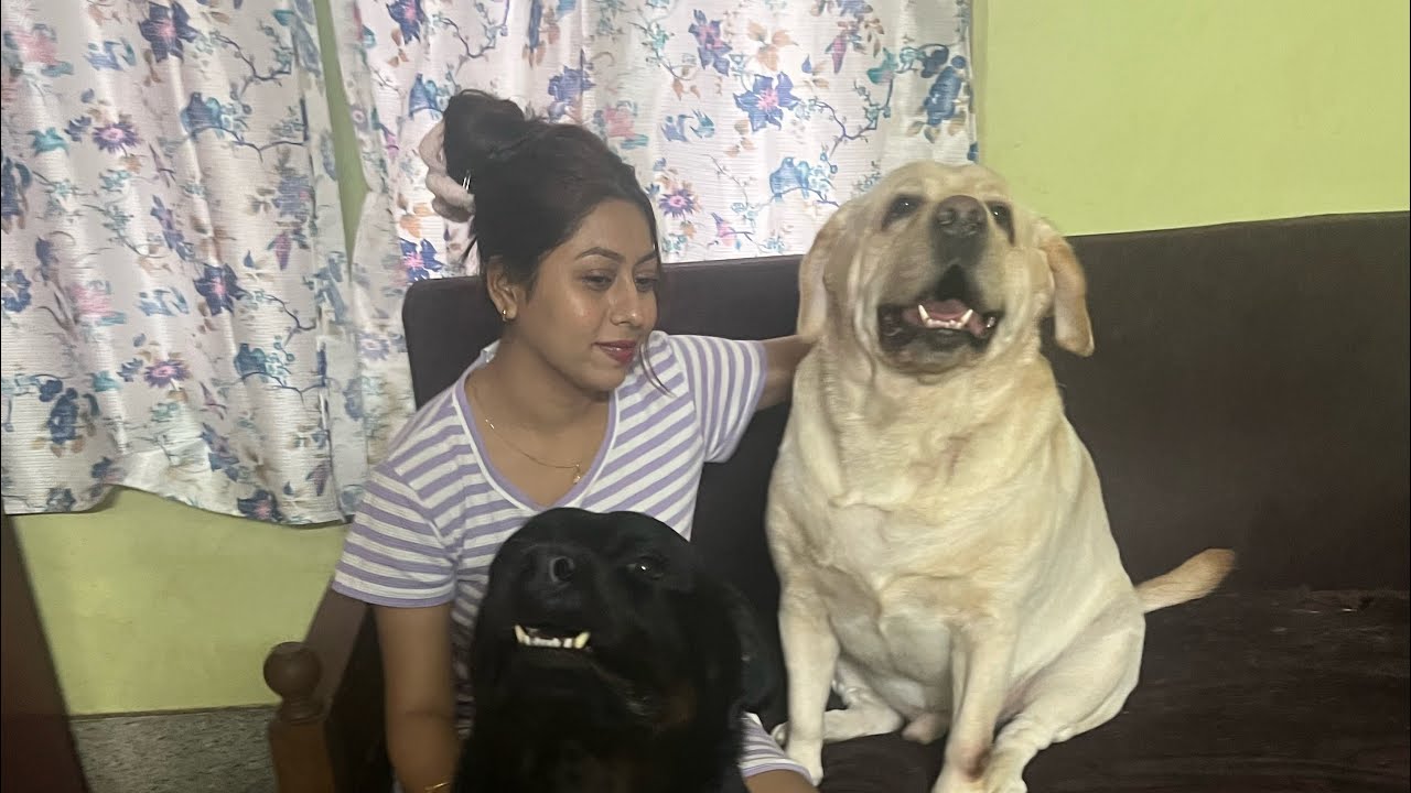 Ato din bade didi ka Dekha khub khusi  ♥️🐶🙏🏽