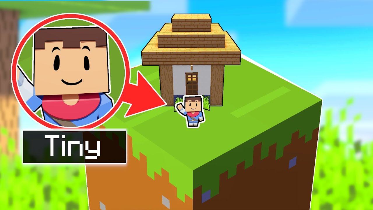 Minecraft, но я становлюсь МЕНЬШЕ...