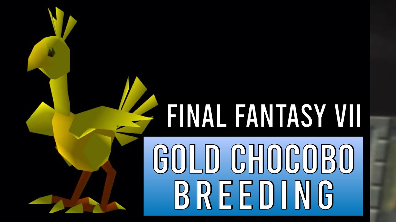 Final Fantasy 7 Gold Chocobo Breeding guide: 15 easy steps to breed a Gold Chocobo