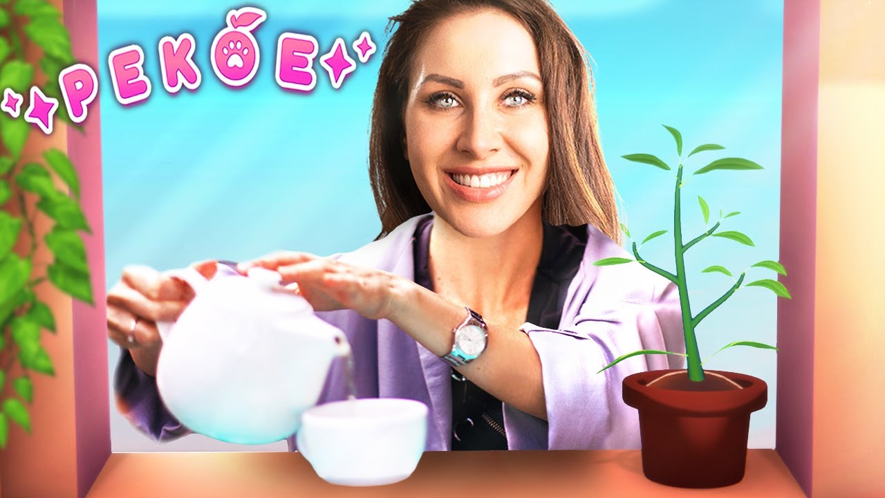 Ein Cozy Game in dem du Katzen leckeren Tee servierst! Pekoe