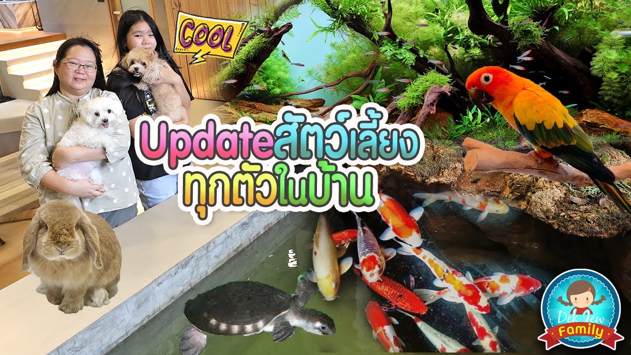 Update สัตว์เลี้ยงทุกตัวในบ้าน