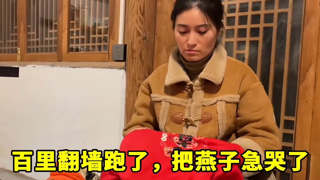 百里翻墙跑了，把燕子急哭了，希望百里还能安全回来【阿偉燕子旅行記】