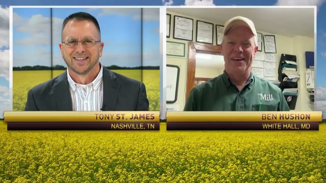 Fall Cover Crop Performance: Early vs Late Seeding Results in Maryland | Agronomy Field Update