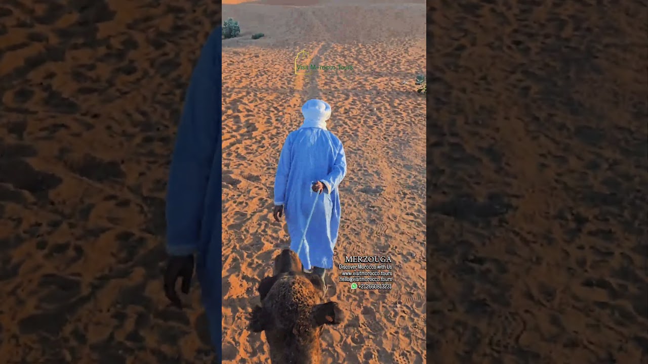 Sahara Adventures & Multi-Day Morocco Tours 