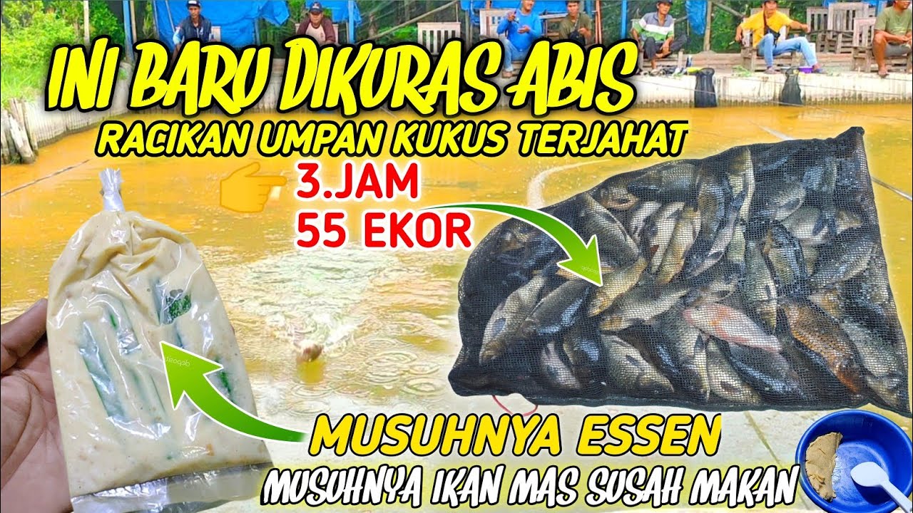 UMPAN TERJAHAT PENANGKAL ESSEN LAWAN‼️MUSUHNYA IKAN MAS SUSAH MAKAN