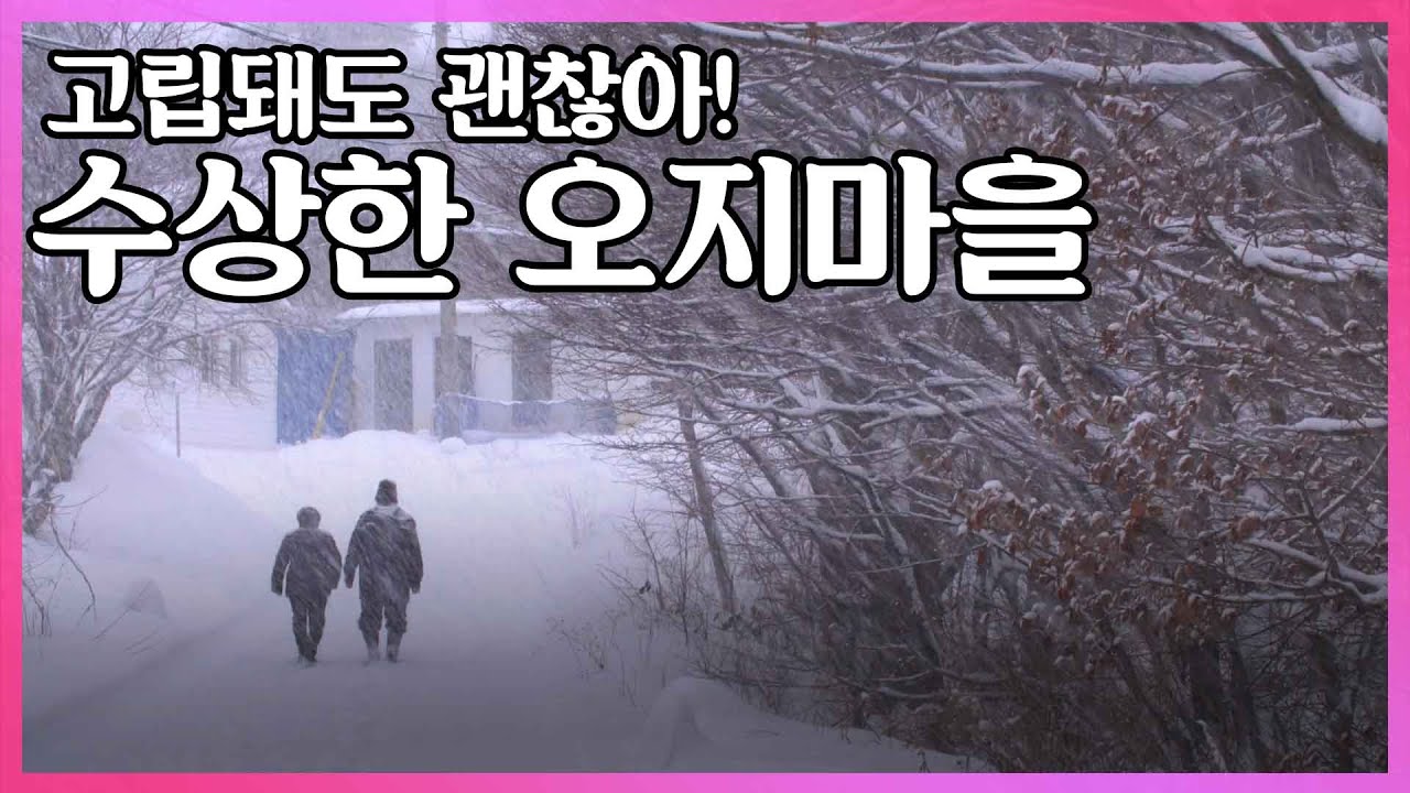 진부령 흘리 오지마을. 고립이 일상이지만 절대 떠나지 않는 주민들 I KBS 2017.02.08 사람과 사람들 방송