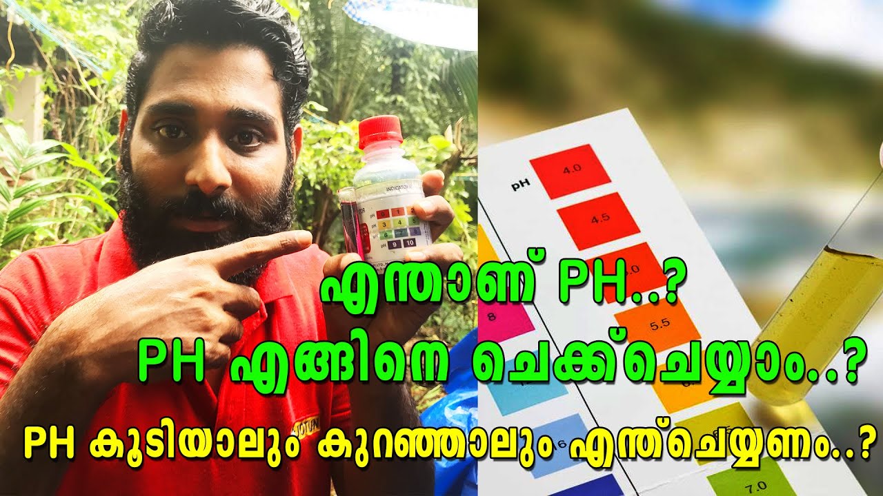 How to check Ph malayalam | ph എങ്ങിനെ ടെസ്റ്റ് ചെയ്യാം ?  | Ph Test Cheyyunnathu engine ?