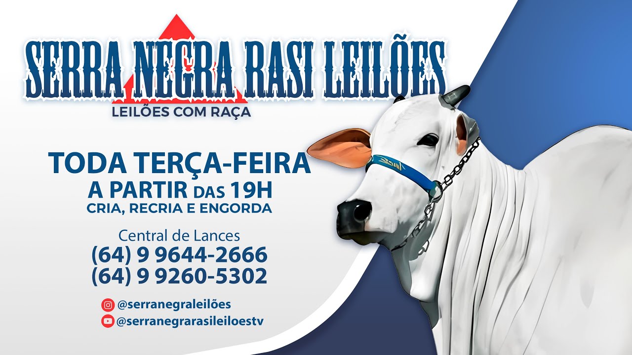 10 DE MARÇO DE 2026 | LEILÃO  SERRA NEGRA RASI LEILÕES - PIRACANJUBA - GO