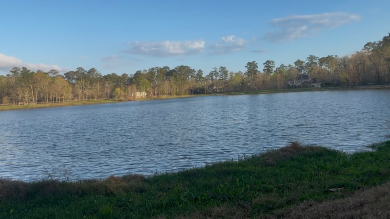 Walk and Talk at the Pond