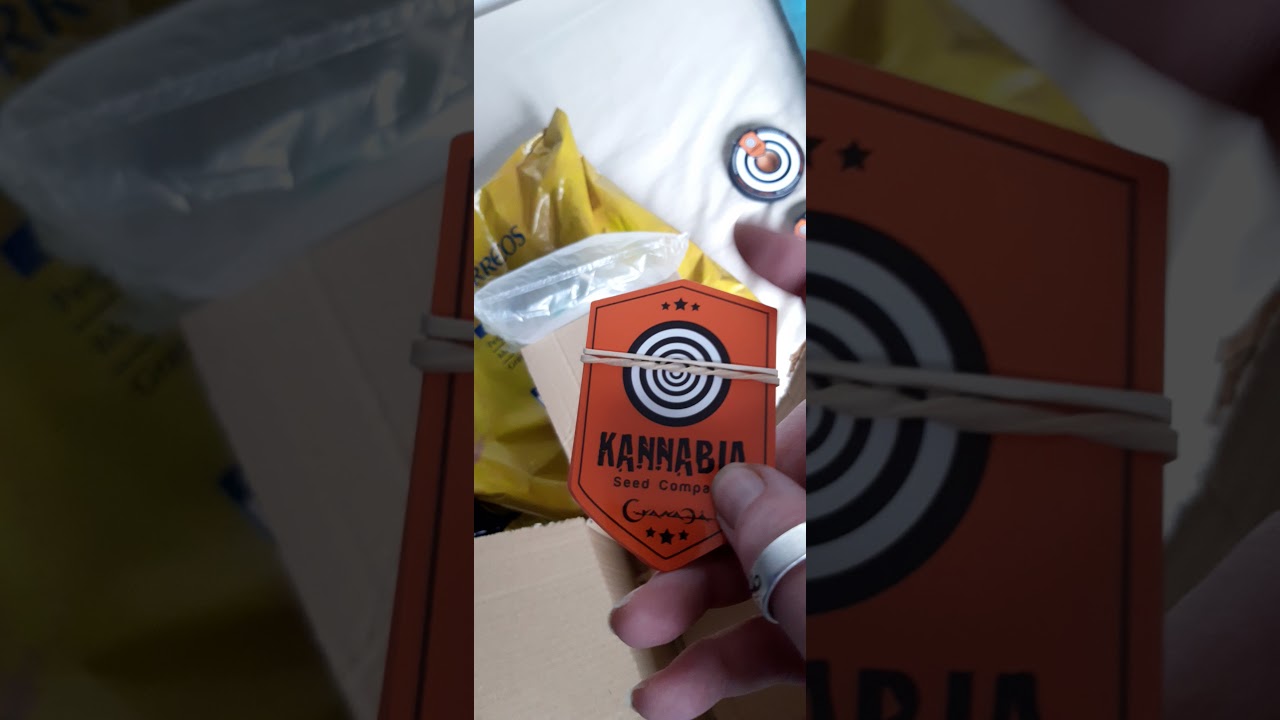 Kannabia Seeds making my outside dreams come true.ThankQ #kannabiaseeds for all the autos N merch