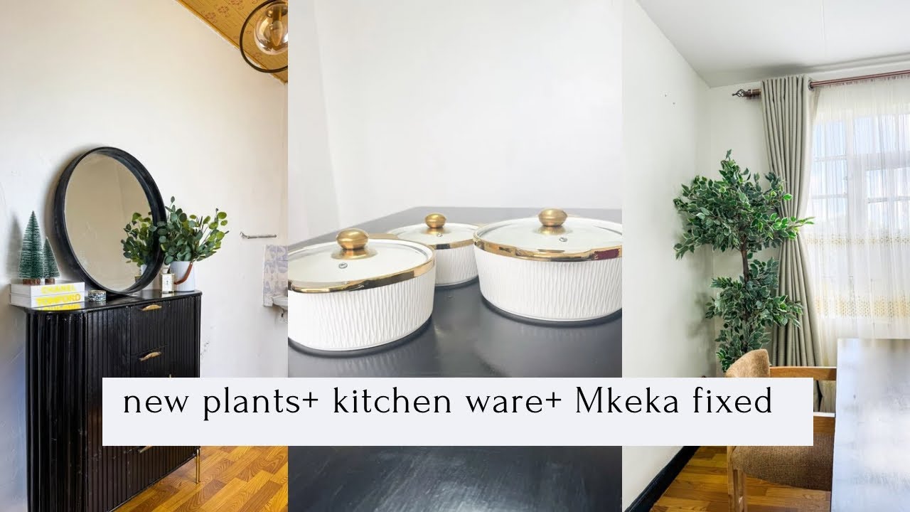 vlog 30 //New Plants/Kitchen ware + more Home plugs
